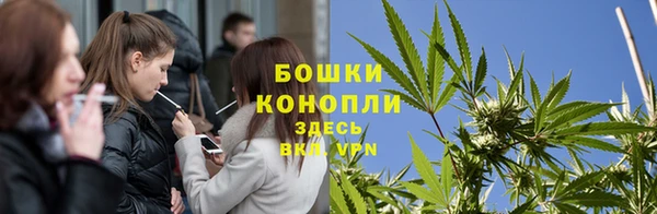 стаф Каменка