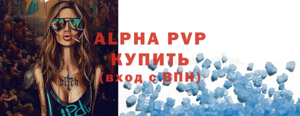индика Каменск-Шахтинский