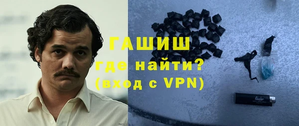 стаф Каменка