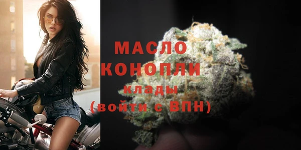 индика Каменск-Шахтинский