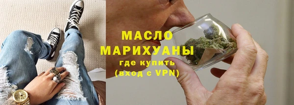 стаф Каменка