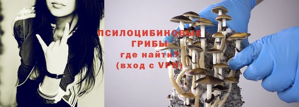индика Каменск-Шахтинский