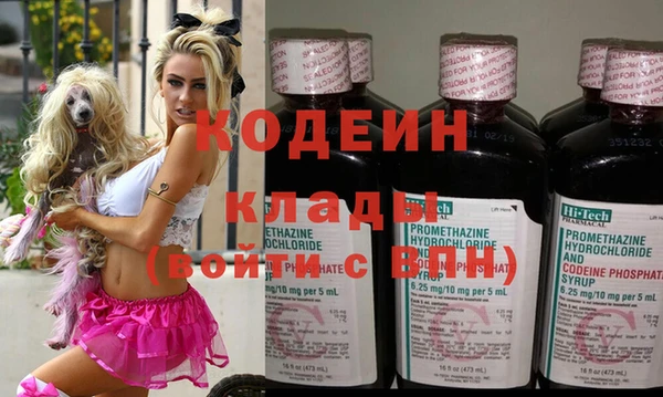 стаф Каменка