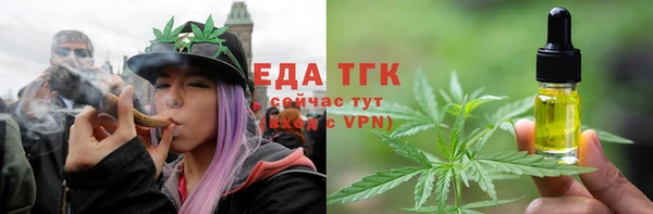 стаф Каменка