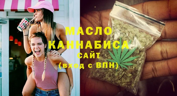 стаф Каменка