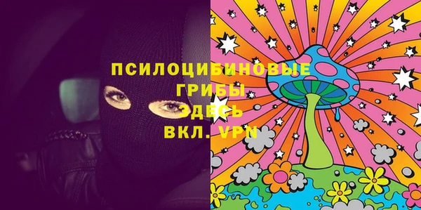 индика Каменск-Шахтинский