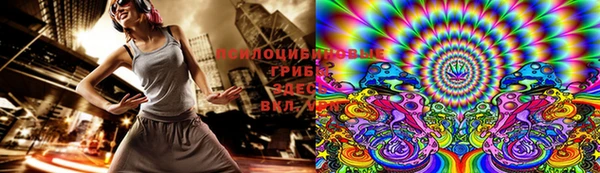 индика Каменск-Шахтинский