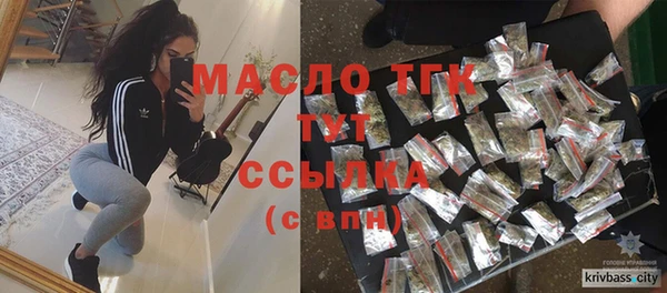 индика Каменск-Шахтинский