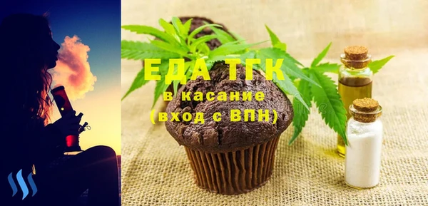 стаф Каменка
