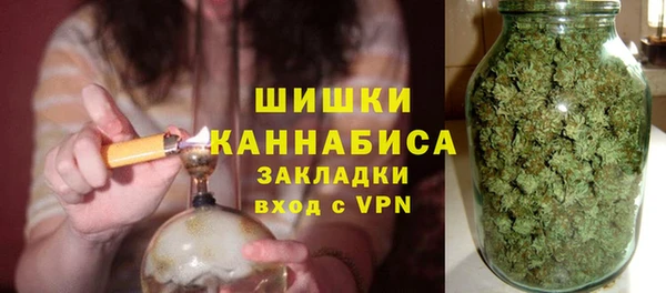 стаф Каменка
