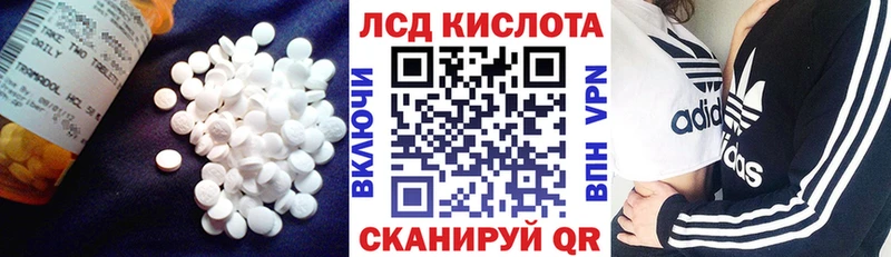ЛСД экстази ecstasy  Купить где  Болгар 